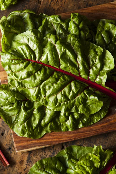 Raw Organic Red Swiss Chard — Stock Photo, Image