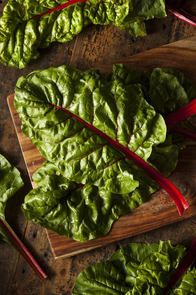 Chard suíço vermelho orgânico cru — Fotografia de Stock