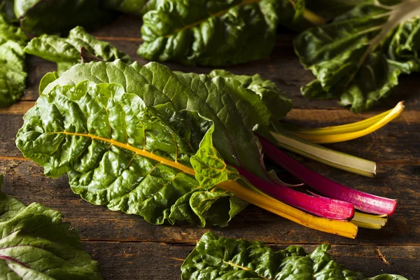 Arco-íris orgânico cru Swiss Chard — Fotografia de Stock