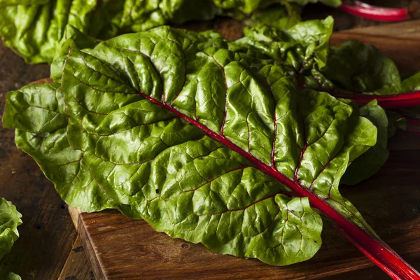 Chard suíço vermelho orgânico cru — Fotografia de Stock