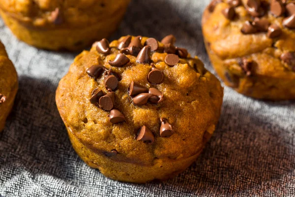 Gesunde Hausgemachte Schoko Chip Kürbis Muffins — Stockfoto