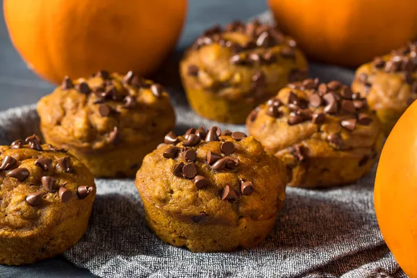 Muffins Caseros Sanos Calabaza Del Microprocesador Del Chocolate Listos Para —  Fotos de Stock