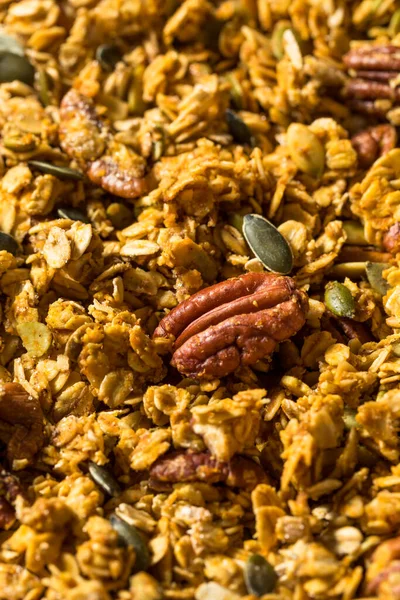 Saudável Caseiro Outono Abóbora Spice Granola Pronto Para Comer — Fotografia de Stock