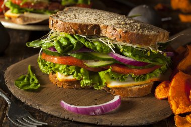 sağlıklı vejetaryen sebzeli sandviç