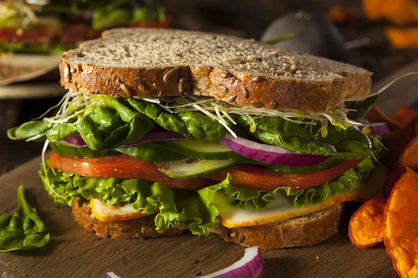 Здоровий вегетаріанські veggie сендвіч — стокове фото