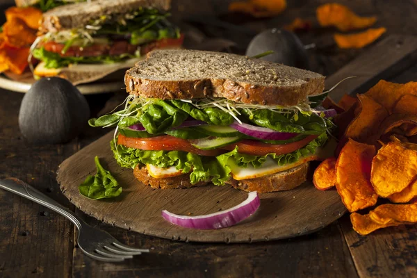 Egészséges vegetáriánus zöldség szendvicset — Stock Fotó