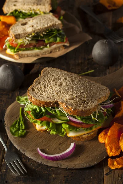 Hälsosam vegetarisk veggie smörgås — Stockfoto