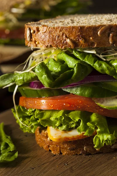 건강 한 채식 야채 샌드위치 — 스톡 사진