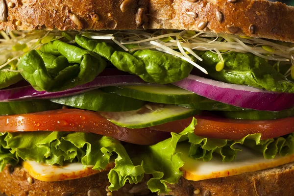 Healthy Vegetarian Veggie Sandwich — Stock Photo, Image