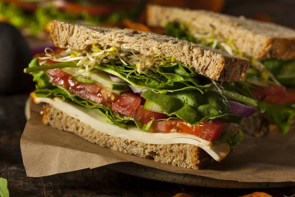 Gesundes vegetarisches Veggie-Sandwich — Stockfoto