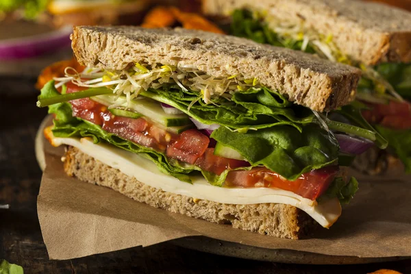 Healthy Vegetarian Veggie Sandwich — Stock Photo, Image