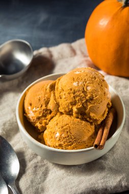 Tarçın Baharatlı Soğuk Balkabaklı Dondurma