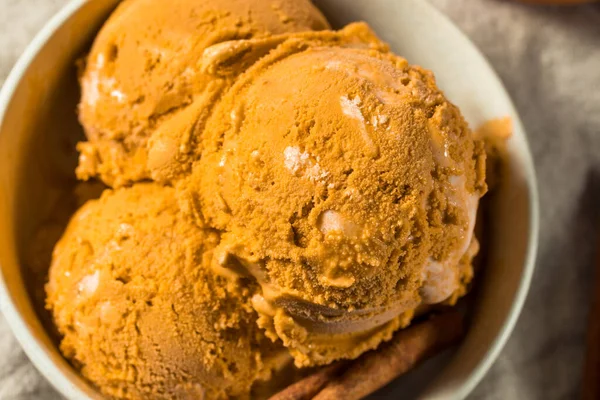 Cold Pumpkin Pie Ice Cream Cinnamon Spice — Stock Photo, Image