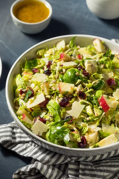 Salada Maçã Broto Escova Queda Saudável Com Queijo Molho — Fotografia de Stock