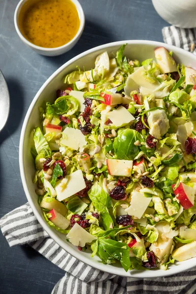 Salada Maçã Broto Escova Queda Saudável Com Queijo Molho — Fotografia de Stock