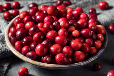 Bir kasede sağlıklı kırmızı organik kızılcıklar