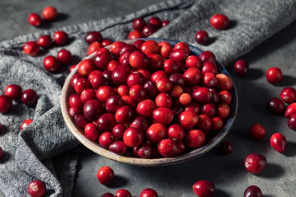 Cranberries Orgânicas Vermelhas Saudáveis Uma Tigela — Fotografia de Stock