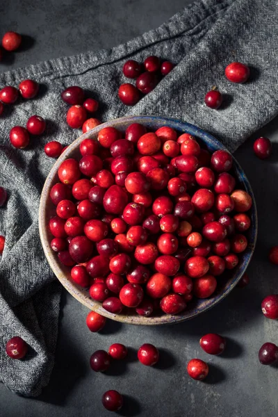 Cranberries Orgânicas Vermelhas Saudáveis Uma Tigela — Fotografia de Stock