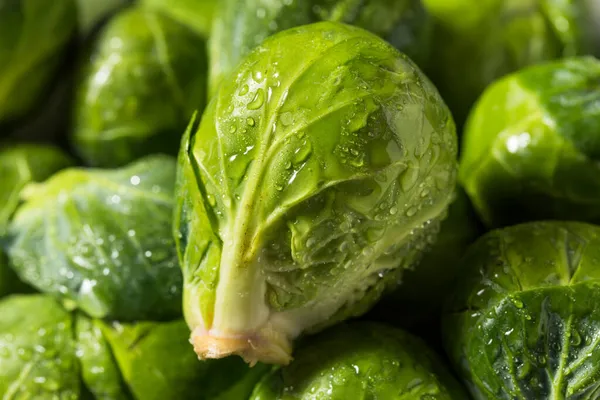 Brotes Bruselas Verdes Orgánicos Saludables Tazón —  Fotos de Stock