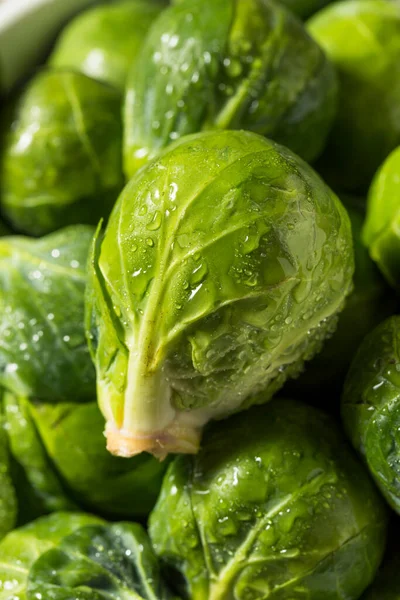 Brotes Bruselas Verdes Orgánicos Saludables Tazón —  Fotos de Stock