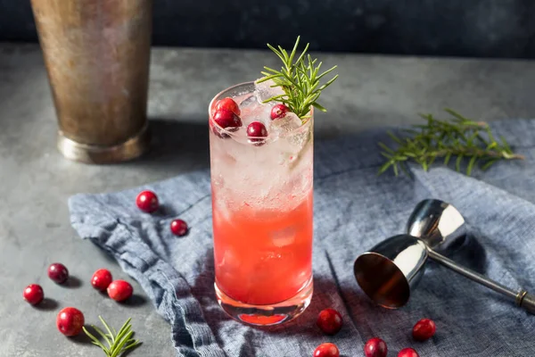 Boozy Holiday Cranberry Gin Fizz Cocktail Weihnachten — Stockfoto