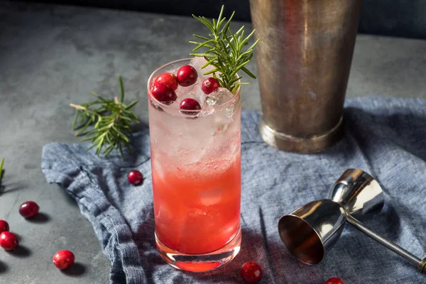 Boozy Holiday Cranberry Gin Fizz Cocktail Para Natal — Fotografia de Stock