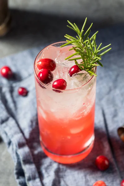 Boozy Holiday Cranberry Gin Fizz Cocktail Para Natal — Fotografia de Stock