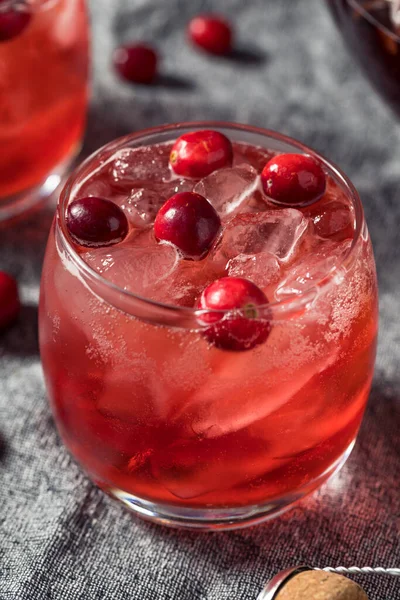 Boozy Refrescante Natal Cranberry Punch Com Champanhe — Fotografia de Stock