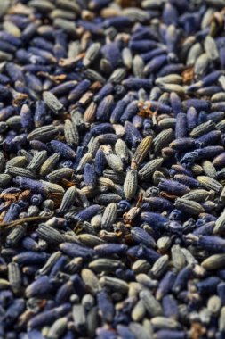 Çiğ Mor Organik Lavanta Kasedeki Baharat