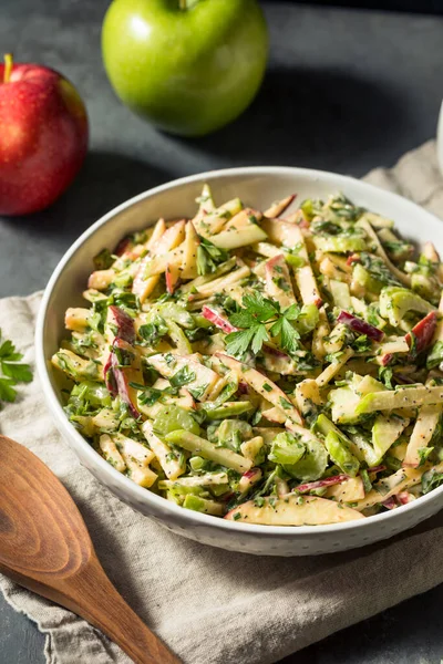 Organic Homemade Apple Slaw Salad Bowl — Stock Photo, Image