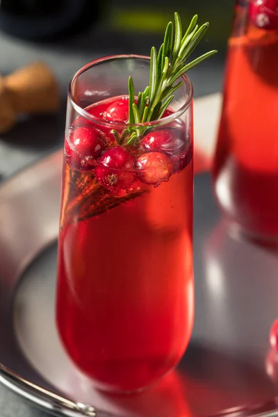 Boozy Holiday Cranberry Champagne Poinsettia Cocktail Com Rosemary — Fotografia de Stock