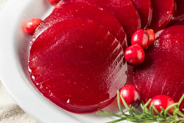 Gesunde Rote Feiertags Cranberry Sauce Dosen Thanksgiving — Stockfoto