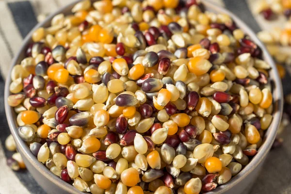 Suchy Organiczny Popcorn Tęczowy Gotowy Gotowania — Zdjęcie stockowe