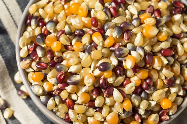 Suchy Organiczny Popcorn Tęczowy Gotowy Gotowania — Zdjęcie stockowe