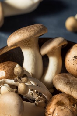 Çiğ Organik Mantarlar Trompet Şampiyonu ve İstiridye Mantarlı