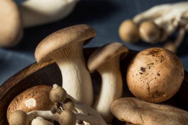 Çiğ Organik Mantarlar Trompet Şampiyonu ve İstiridye Mantarlı