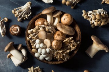 Çiğ Organik Mantarlar Trompet Şampiyonu ve İstiridye Mantarlı