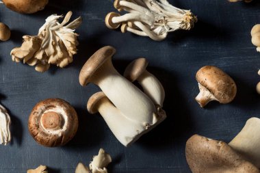 Çiğ Organik Mantarlar Trompet Şampiyonu ve İstiridye Mantarlı