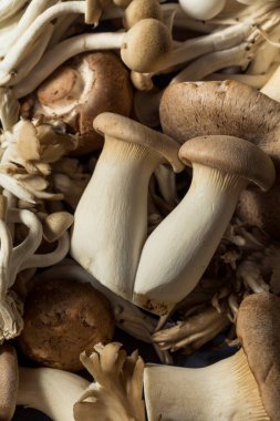 Çiğ Organik Mantarlar Trompet Şampiyonu ve İstiridye Mantarlı