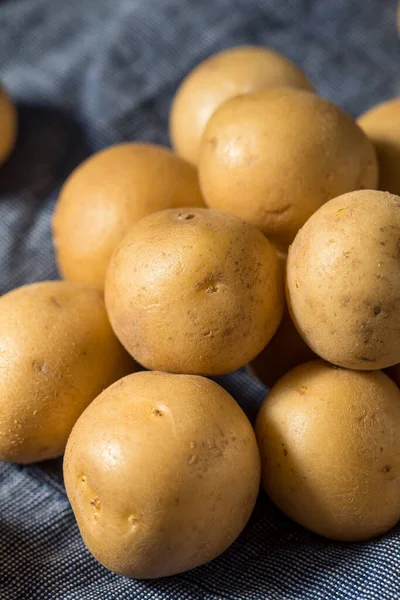 Raw Yellow Organic Baby Potatoes Bunch — Stock Photo, Image