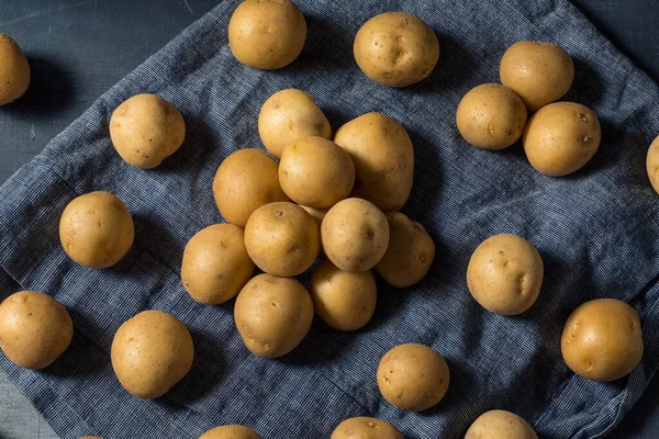 Raw Yellow Organic Baby Potatoes Bunch — Stock Photo, Image