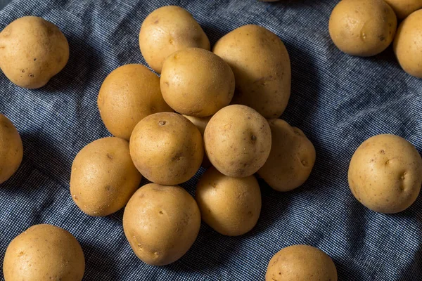 Patatas Bebé Orgánicas Amarillas Crudas Racimo — Foto de Stock