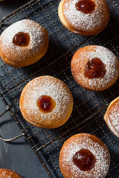 自家製ユダヤ人のSufganiyotゼリードーナッツパウダーシュガー — ストック写真