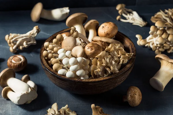 Raw Organic Assorted Gourmet Mushrooms Met Trumpet Champignon Oester — Stockfoto