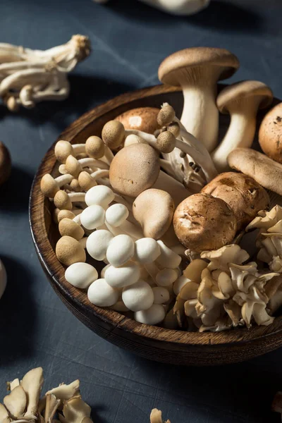 Rohe Bio Gourmet Pilze Mit Trompetenchampignon Und Auster — Stockfoto