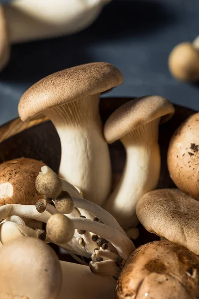 Raw Organic Assorted Gourmet Mushrooms Met Trumpet Champignon Oester — Stockfoto