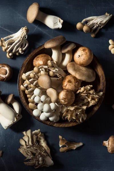 Raw Organic Assorted Gourmet Mushrooms Met Trumpet Champignon Oester — Stockfoto