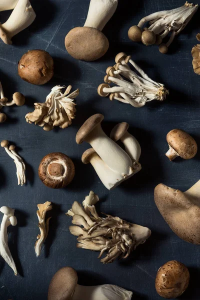 Raw Organic Assorted Gourmet Mushrooms Trumpet Champignon Oyster — стоковое фото