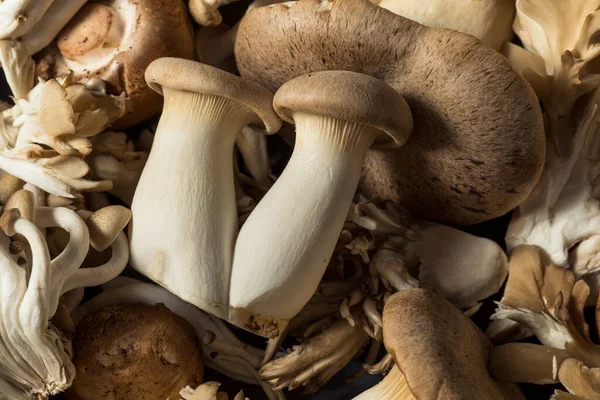 Rohe Bio Gourmet Pilze Mit Trompetenchampignon Und Auster — Stockfoto