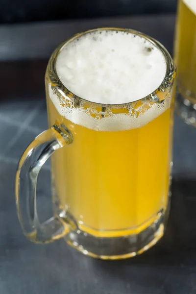Cerveja Lager Refrescante Fria Uma Caneca Pronta Para Beber — Fotografia de Stock